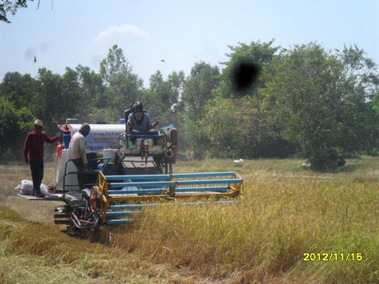 ขายรถเกี่ยวข้าว