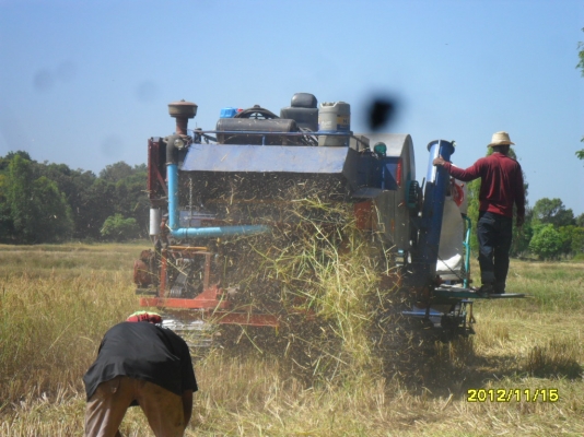 ขายรถเกี่ยวข้าว