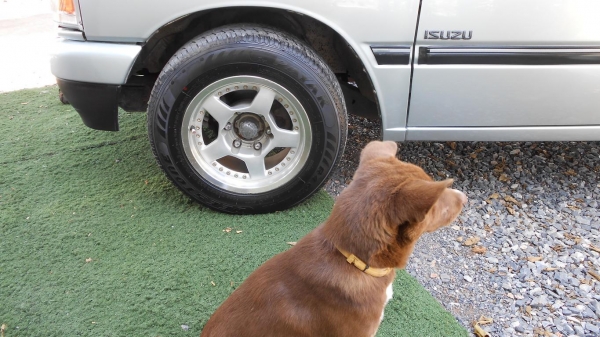 ขายแล้วครับ ขอบคุณครับ SLX 90Hp สวยๆ แต่งนิดๆหน่อยๆ ขายแล้วครับ ขอบคุณครับ SLX 90Hp สวยๆ แต่งนิดๆหน่อยๆ