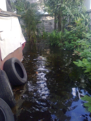 ขาย มาสด้า 323 ex 5 ประตู สีดำ ทำเบาะใหม่ ช่วงล่างทำใหม่ แถม มาสด้า 4 ประตู อีก 1 คัน เครื่องหัวฉีัด ไม่มีเกี่ยร์ ทะเบียนพร้อมโอน