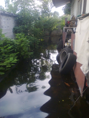 ขาย มาสด้า 323 ex 5 ประตู สีดำ ทำเบาะใหม่ ช่วงล่างทำใหม่ แถม มาสด้า 4 ประตู อีก 1 คัน เครื่องหัวฉีัด ไม่มีเกี่ยร์ ทะเบียนพร้อมโอน