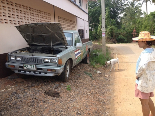 ขายรถกระบะ DATSUN 5 ขอ ขายรถกระบะ DATSUN 5 ขอ