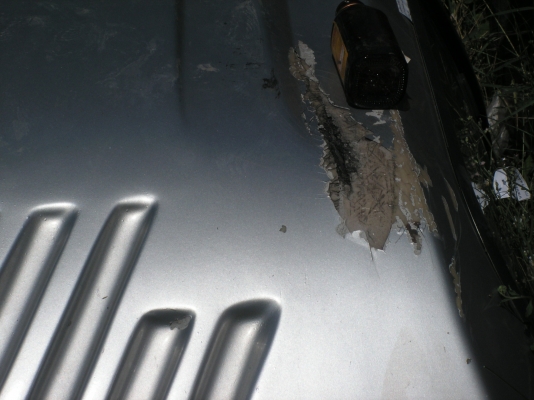 หลังคาไฟเบอร์ใส่ฟรอนเทียร์ตอนเดียว(พี่ที่อยู่สะพานควายรับไปดูเเลต่อแล้วครับ) หลังคาไฟเบอร์ใส่ฟรอนเทียร์ตอนเดียว(พี่ที่อยู่สะพานควายรับไปดูเเลต่อแล้วครับ)