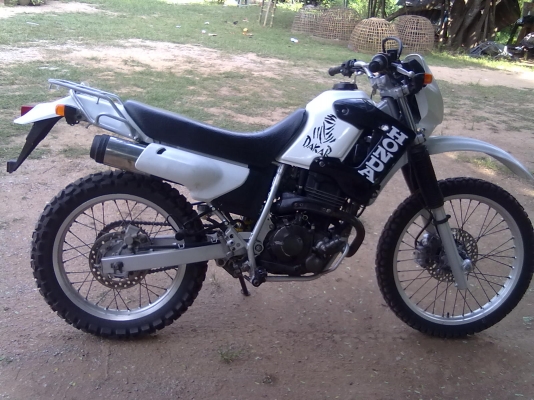 ขาย honda degree 250 ปี 2002 iv/สพม วิ่งได้ทุกที่ที่อยากไป 38000