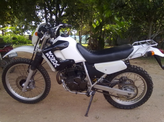 ขาย honda degree 250 ปี 2002 iv/สพม วิ่งได้ทุกที่ที่อยากไป 38000 ขาย honda degree 250 ปี 2002 iv/สพม วิ่งได้ทุกที่ที่อยากไป 38000