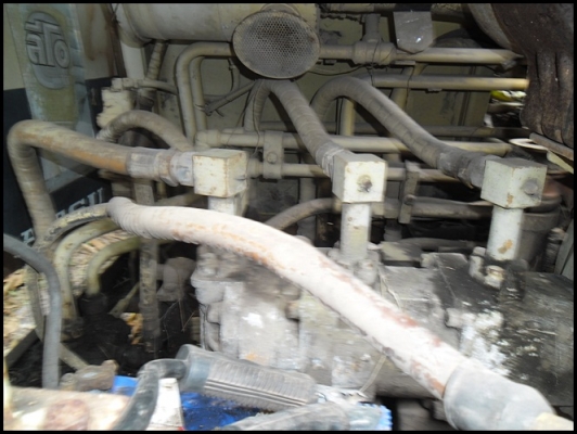 เจ้าอินทรีย์ สภาพดี พร้อมใช้ ราคาน่าซื้อมาก