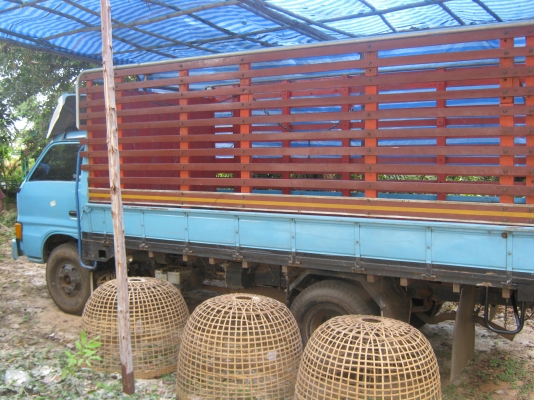 หกล้อกลาง ISUZU KS 110 เครื่องดีคอกไม้สวยทะเบียนพร้อมโอน