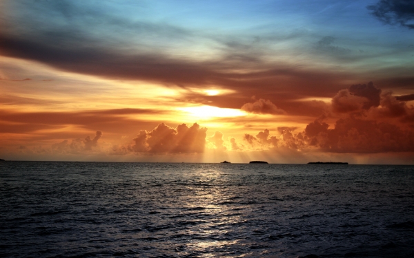 เทรเลอร์บรรทุกรถเกี่ยว HINO 10 ล้อ 2 เพลา.