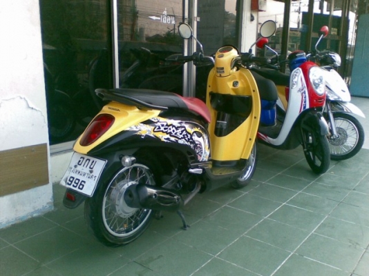 Scoopy &ndash; i ปี 2555 รถสวยเครื่องดี ราคาไม่แพง 26500 บาท