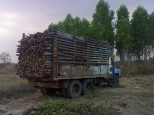 ขาย10ล้อหัวยาว2เพลาดั๊ม สโลว์ ขาย10ล้อหัวยาว2เพลาดั๊ม สโลว์