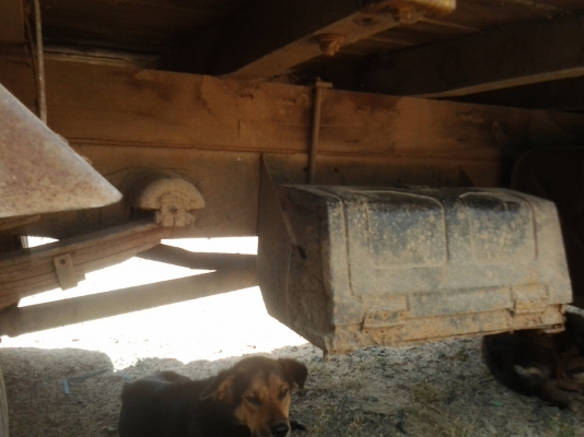 ขายตามสภาพรถอีซูซุTLเครื่อง100แรงฝาขาวภาษีขาดปี56 ขายตามสภาพรถอีซูซุTLเครื่อง100แรงฝาขาวภาษีขาดปี56