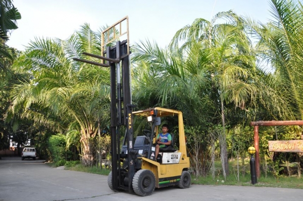ขายFORKLIFT TCM1.5 -N17ตันครึ่งรุ่นใหม่ เสาทรูฟรี่เข้าตู้ได้ สภาพสวยเดิมจากญี่ปุ่นยังไม่เคยใช้านในไทย 125,000เท่านั้น!!!