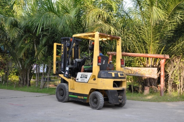 ขายFORKLIFT TCM1.5 -N17ตันครึ่งรุ่นใหม่ เสาทรูฟรี่เข้าตู้ได้ สภาพสวยเดิมจากญี่ปุ่นยังไม่เคยใช้านในไทย 125,000เท่านั้น!!!