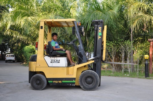 ขายFORKLIFT TCM1.5 -N17ตันครึ่งรุ่นใหม่ เสาทรูฟรี่เข้าตู้ได้ สภาพสวยเดิมจากญี่ปุ่นยังไม่เคยใช้านในไทย 125,000เท่านั้น!!!