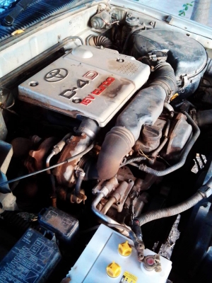 ขายเครื่อง tiger D4D ครบชุด ขายเครื่อง tiger D4D ครบชุด