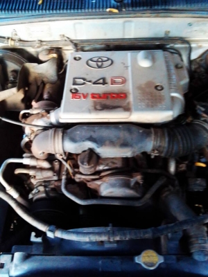 ขายเครื่อง tiger D4D ครบชุด