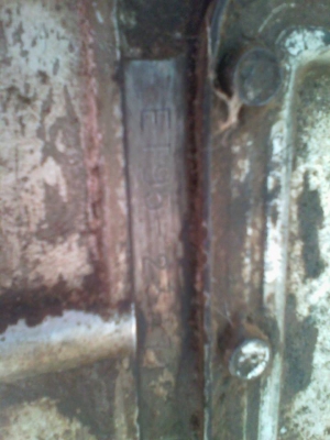 et95  หางทะเลทอง