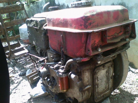 et95  หางทะเลทอง