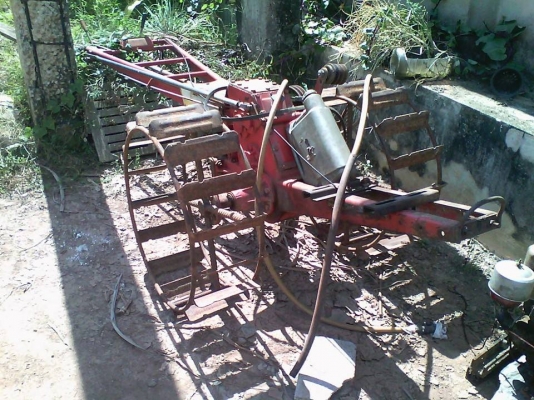 et95  หางทะเลทอง