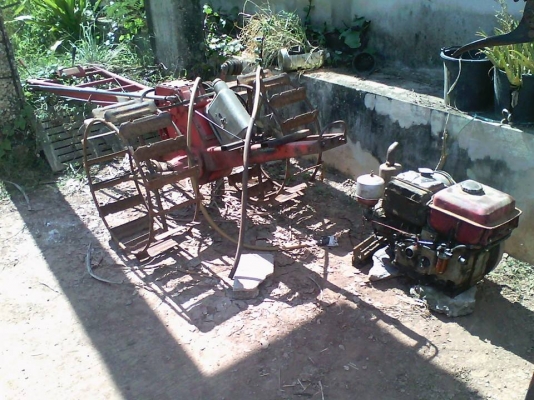 et95  หางทะเลทอง