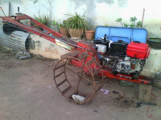 et95  หางทะเลทอง