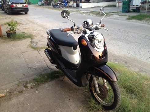 ฟีโน่ สี่่นำตาล เดิมๆ เดินเบานิ่ง