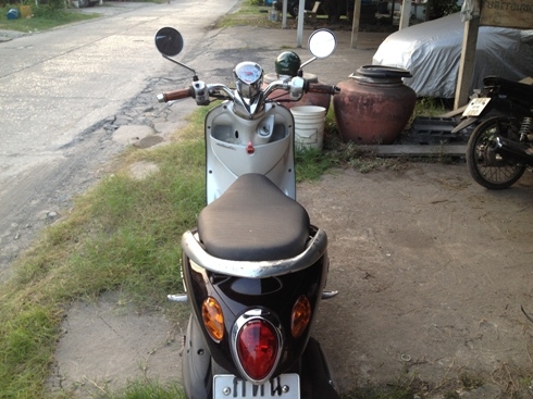 ฟีโน่ สี่่นำตาล เดิมๆ เดินเบานิ่ง