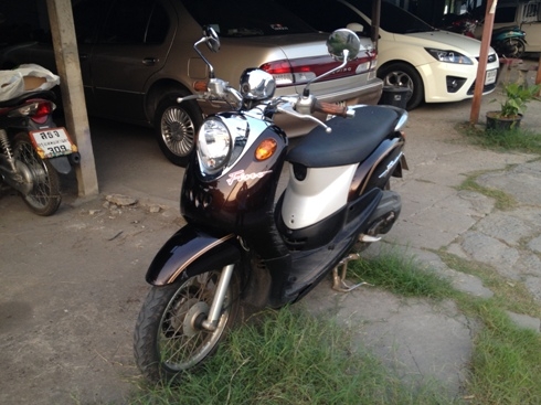 ฟีโน่ สี่่นำตาล เดิมๆ เดินเบานิ่ง