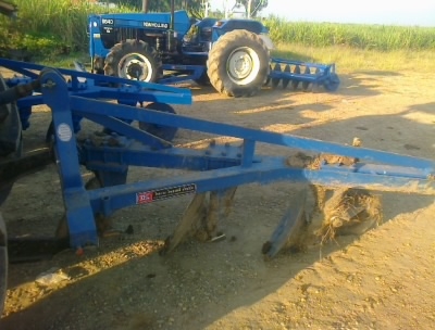 ขายหาง3  ไคเฮงหลี     สนใจโทร0810076640