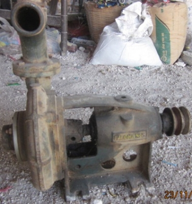 ขายปั๊มน้ำ พาโลม่า