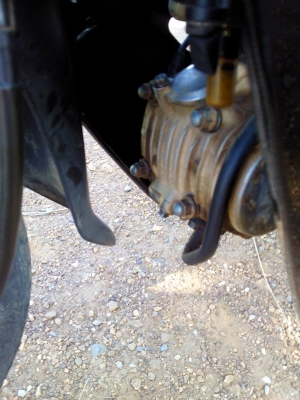 ดรีม125ปี48