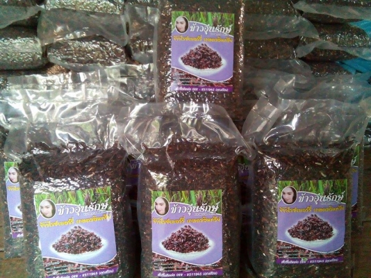 ขายข้าวไรซ์เบอร์รี่ ข้าวอุ่นรักษ์ เกษตรอินทรีย์ปลอดสารพิษ