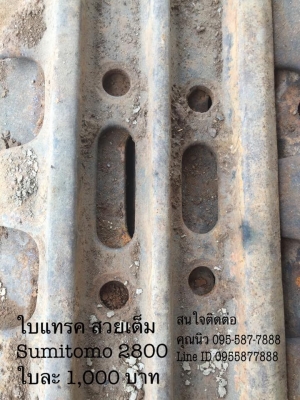 ใบแทรค Sumitomo 2800 เซียงกง  ใบแทรคซูมิโตโม่ 2800 ใบยาว80 ซม. ใบสวยเต็ม   ราคา 1,000 บาท