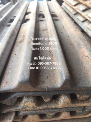 ใบแทรค Sumitomo 2800 เซียงกง  ใบแทรคซูมิโตโม่ 2800 ใบยาว80 ซม. ใบสวยเต็ม   ราคา 1,000 บาท