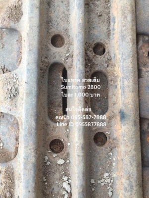 ใบแทรค Sumitomo 2800 เซียงกง  ใบแทรคซูมิโตโม่ 2800 ใบยาว80 ซม. ใบสวยเต็ม   ราคา 1,000 บาท