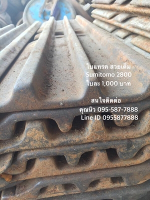 ใบแทรค Sumitomo 2800 เซียงกง  ใบแทรคซูมิโตโม่ 2800 ใบยาว80 ซม. ใบสวยเต็ม   ราคา 1,000 บาท