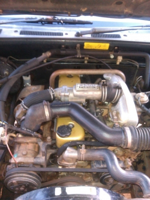 ดาก้อนอาย หัวเดียวเดิมบาง ถูกมาก 98000 ดาก้อนอาย หัวเดียวเดิมบาง ถูกมาก 98000