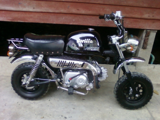 กอริลล่า ราคาถูกๆครับ