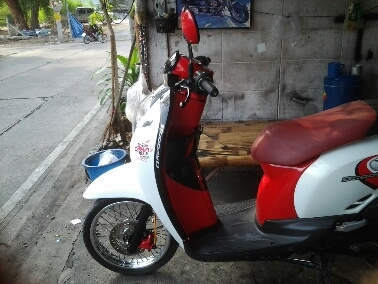 สกุบปี้iปี2553 สกุบปี้iปี2553