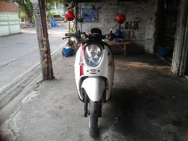 สกุบปี้iปี2553 สกุบปี้iปี2553