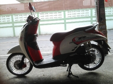 สกุบปี้iปี2553