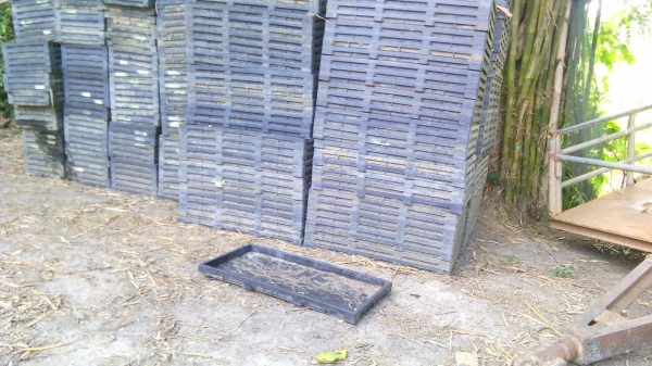 ขายรถดำนาคูโบต้า6แถวพร้อมถาด400อันเครื่องดีเช็ว