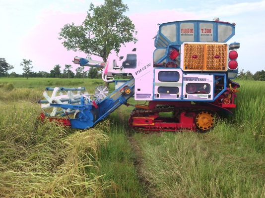 ขายรถเกี่ยวข้าวศักดิ์พัฒนาการเกษตร