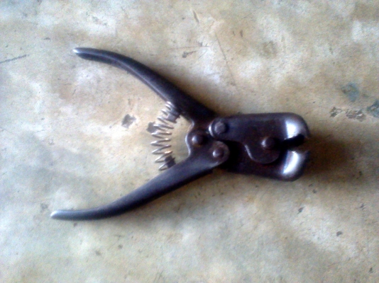 ปากนกแก้วงานโปแลน