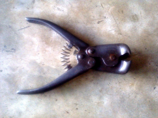 ปากนกแก้วงานโปแลน