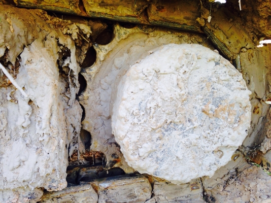 ขาย Kobelco SK200 mark 6 Super มีเล่มทะเบียน ขาย Kobelco SK200 mark 6 Super มีเล่มทะเบียน