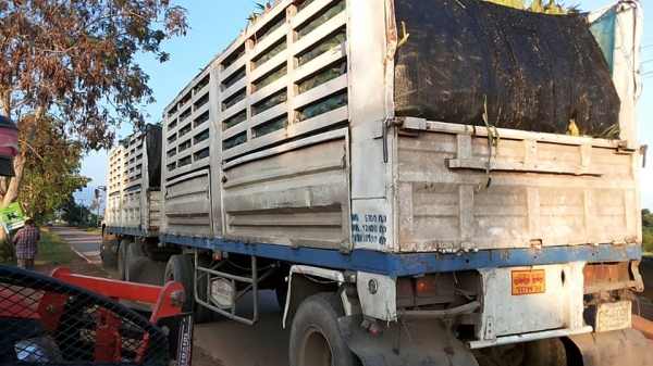 **975,000 บ.ต่อรอง**ขาย18ล้อพ่วงแม่ลูก ไม่ดั้ม ISUZU JUMBO คัสซี351xx วางเครื่อง6SD1-240เทอโบ เกียร์GIGA (ลงเล่ม) เครื่องดี แน่นดี แรง เกียร์ดีไม่หลุด ช่วงล่างใหญ่ คัสซีใหญ่ ไม่ผุ กระบะเหล็กเกษตรสภาพดี พื้นดีข้างดีไม่ผุ หัวเก๋งเดิมสภาพพอใช้ ภายในไม่สวย พ.