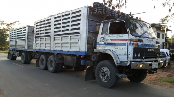 **975,000 บ.ต่อรอง**ขาย18ล้อพ่วงแม่ลูก ไม่ดั้ม ISUZU JUMBO คัสซี351xx วางเครื่อง6SD1-240เทอโบ เกียร์GIGA (ลงเล่ม) เครื่องดี แน่นดี แรง เกียร์ดีไม่หลุด ช่วงล่างใหญ่ คัสซีใหญ่ ไม่ผุ กระบะเหล็กเกษตรสภาพดี พื้นดีข้างดีไม่ผุ หัวเก๋งเดิมสภาพพอใช้ ภายในไม่สวย พ.