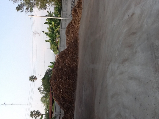 ขายกะลามะพร้าวสำหรับเชื้อเพลิงboiler(บอยเลอร์)