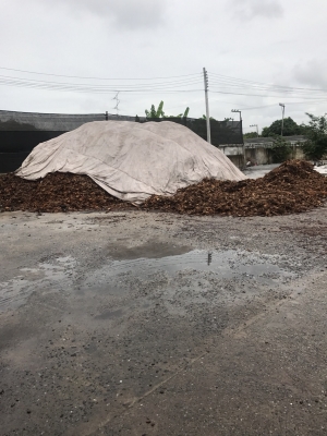 ขายกะลามะพร้าวสำหรับเชื้อเพลิงboiler(บอยเลอร์)